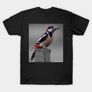 Great spotted woodpecker T-Shirt